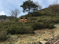 휴양과 모험 즐기는 하동 구재봉 휴양림‘인기짱’