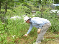 나 살자고 풀과 싸웠지만, 승자는…