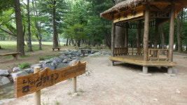 ‘남이섬 강바람’ 맞으며 대자연 속 힐링 피서 떠나요