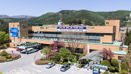 태백시, 부동산 중개업소 지도점검