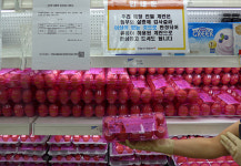 산소도시 태백은 ‘살충제 계란’ 전무