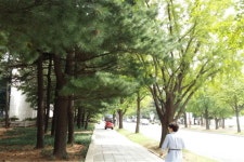 박정희의 유산이 아직 국회에서 자라고 있다