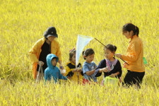 강진 가을 5대축제 ‘메뚜기축제’ 개최