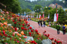 삼척시, ‘2017 삼척 오랍드리 산소길 걷기대회’ 개최