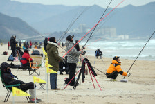 동해시, ‘제17회 망상 전국 바다릴 낚시대회’ 개최