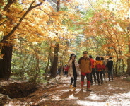 10월의 은행나무숲 축제를 가다