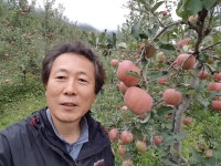 [귀농현장]장수 사과과수원 새내기 농부 고원농장 고재풍 사장