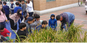 농촌체험으로 군산쌀 알리고 판로도 열고