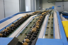 새콤달콤 ‘보성참다래’ 본격 출하