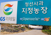 정선 ‘사과낙과’ 피해, 미군헬기 저공비행 유력