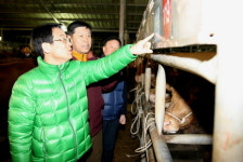 강진 박종남씨 전남한우경진대회 최우수상 영예