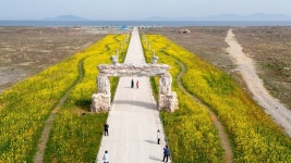 수채화 느낌의 근대 역사의 도시 군산, 영화의 도시 꿈꾸다