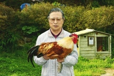 힘센 점순네 닭은 어디로 갔을까?