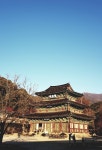 [내일 날씨] 전북 낮부터 기온 올라…출근길 안개·도로결빙 주의