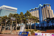 태백상의, 강원랜드 시장형 공기업 전환 반대