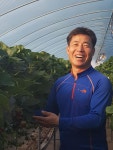 진안고원에서 자란 진안딸기 맛보세요