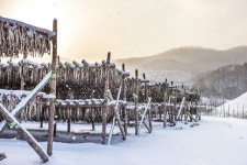 겨울 대관령, 비경과 비극이 공존하는 풍경