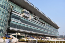 렛츠런파크 부경, 오는 21일 Road to GⅠ 개최