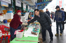 동해시, ‘2018 묵호항 수산물 축제’ 개막