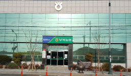 밀양 부북농협장 당선무효 확정…기부행위 금지 혐의