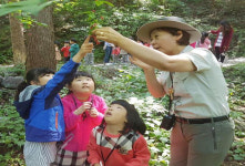 태백산국립공원사무소, 유아숲학교 운영