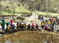 국립자연휴양림...숲을 배우고 체험하고 즐기자