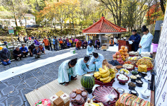정선 화암약수제 28일 개막