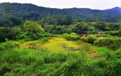 고창군, 생태·지질관광 활성화사업 박차