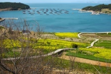 슬로시티 완도 청산도 다시 오고파