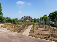 임실군, 국민관광지 사선대에 장미공원 꾸민다