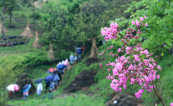 태백 ‘황부자 며느리 친정 가는 둘레길 축제’ 성료