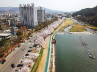 광양시, 서천변 벚꽃에 아름다움 더할 야경길 조성