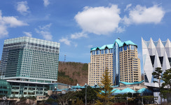강원랜드 카지노 고객 ‘호객행위’ 논란