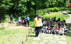 동해시설관리공단, 천곡동굴 돌리네 탐방로 야생화 식재