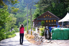 싱그러운 초여름! 숲과 옛길과 푸른 바다에 빠지다