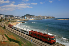 코레일, 바다열차 & 바다솔향길 기차여행 상품출시