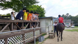 순천시, 청소년 승마체험 지원사업 확대