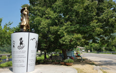 영월 김삿갓 조형물…가로수에 가려 ‘무용지물?’