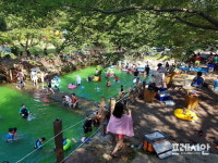 폭염 속 전남 자연휴양림, 휴양객으로 북적 북적