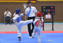 태백시, 문체부 장관기 전국 남녀 중고 태권도 대회 개최