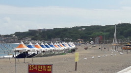 경주 전촌해수욕장, 휴가 피크인 주말에 적막강산