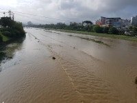 청주 우암산 198.5mm, 주택·상가·도로 곳곳곳 침수