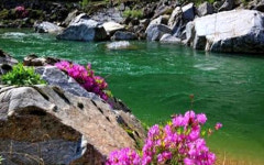 미산계곡에서 ‘가을의 절정’을 만나다