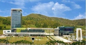 전남도, 추석 육류 성수기 도축장 휴일도 개장