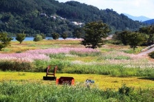 섬진강끝들마을서 아트자전거와 캠핑 이색체험 눈길