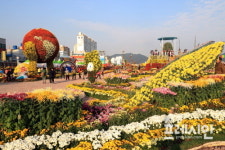 창원시, 마산가고파국화축제 인터넷 정보검색대회 시행