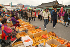 구례 감 본격 출하, 특별 직거래 장터 운영