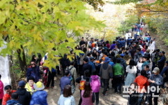 지리산 하동 회남재 숲길에서 가을 걸어요