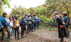 완주군, 고종시 마실길 사진추억 걷기 행사 성료