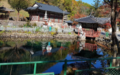 특정 종교시설, 태백산 청원사 주민출입 차단 논란